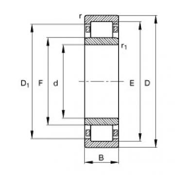 Original SKF Cylindrical Roller Bearings NU1005-M1 FAG