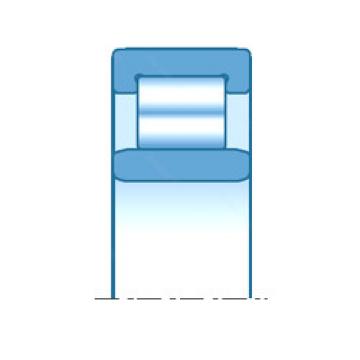 Original SKF Cylindrical Roller Bearings NU2924 NTN