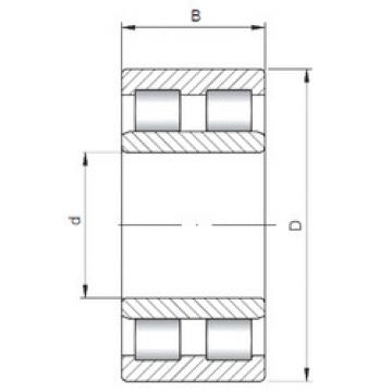 Original SKF Cylindrical Roller Bearings NNU4922 ISO