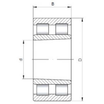 Original SKF Cylindrical Roller Bearings NNU4926K ISO