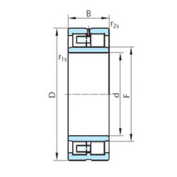 Original SKF Cylindrical Roller Bearings NNU49/630 PSL