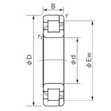 Original SKF Cylindrical Roller Bearings NP 1010 NACHI