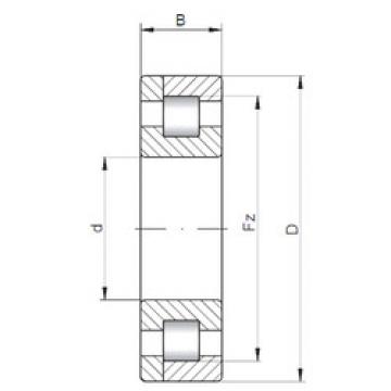 Original SKF Cylindrical Roller Bearings NP10/800 ISO