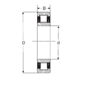 Original SKF Cylindrical Roller Bearings NU 214 SIGMA