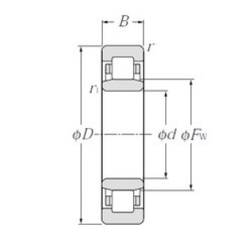 Original SKF Cylindrical Roller Bearings NU1004 CYSD