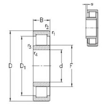 Original SKF Cylindrical Roller Bearings NU244-E-MPA NKE