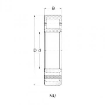 Original SKF Cylindrical Roller Bearings NU205 CRAFT