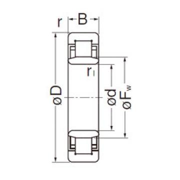 Original SKF Cylindrical Roller Bearings NU206EG NACHI