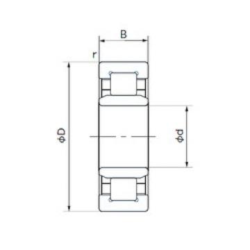 Original SKF Cylindrical Roller Bearings NU316TSL NACHI