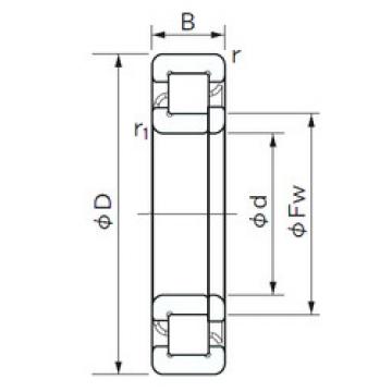 Original SKF Cylindrical Roller Bearings NUP 1012 NACHI