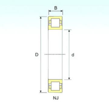 Original SKF Cylindrical Roller Bearings NUP 19/600 ISB