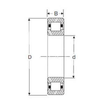 Original SKF Cylindrical Roller Bearings NUP 208 SIGMA