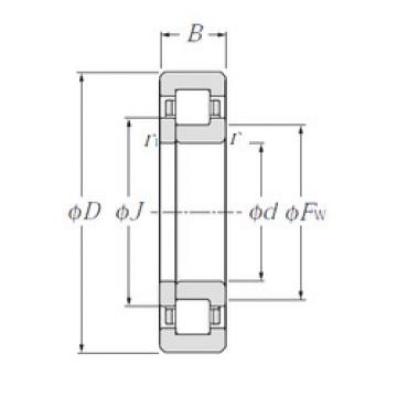 Original SKF Cylindrical Roller Bearings NUP1021 NTN