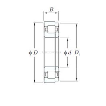 Original SKF Cylindrical Roller Bearings NUP1005 KOYO