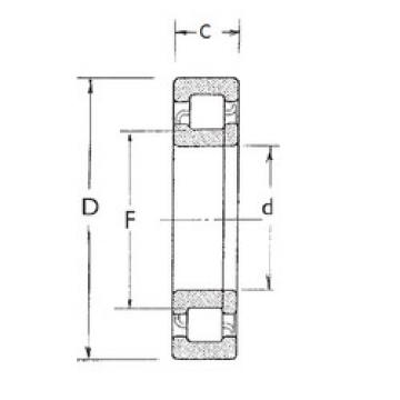 Original SKF Cylindrical Roller Bearings NUP2311 FBJ