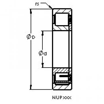 Original SKF Cylindrical Roller Bearings NUP206 E AST