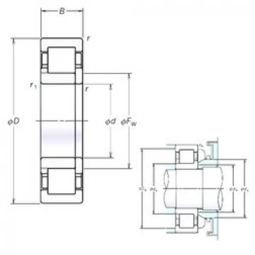 Original SKF Cylindrical Roller Bearings NUP205EM NSK