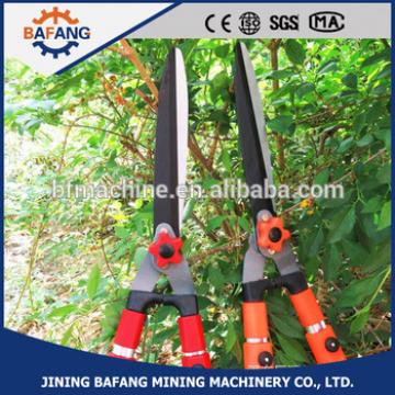 Beautiful garden with tree branches pruning machine