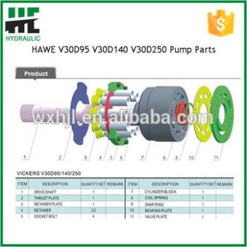 Hawe V30D95 V30D140 V30D250 Hydraulic Pump Parts