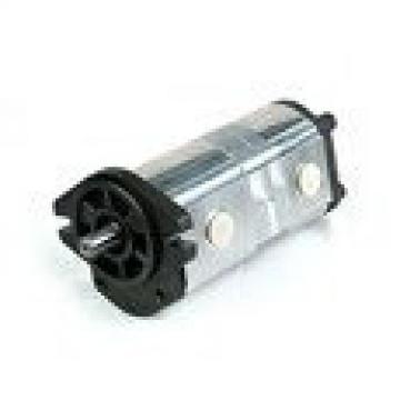 Made in China gear motors