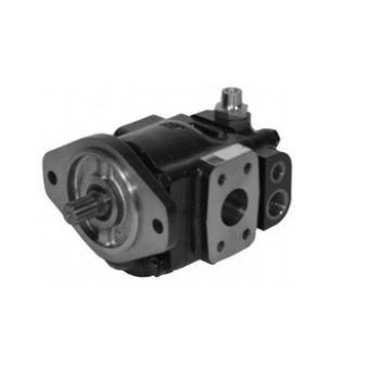 Bolais Parker P31 hydraulic gear pump