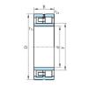 Original SKF Cylindrical Roller Bearings NNU49/630 PSL