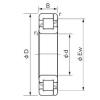 Original SKF Cylindrical Roller Bearings NP 1005 NACHI