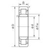 Original SKF Cylindrical Roller Bearings NU 1006 NACHI