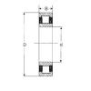 Original SKF Cylindrical Roller Bearings NU 204 SIGMA