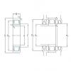 Original SKF Cylindrical Roller Bearings NU1016ECM/HC5C3 SKF