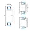 Original SKF Cylindrical Roller Bearings NU1048 PSL