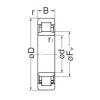 Original SKF Cylindrical Roller Bearings NU206EG NACHI #1 small image