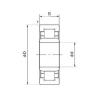 Original SKF Cylindrical Roller Bearings NU316TSL NACHI