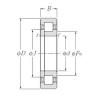 Original SKF Cylindrical Roller Bearings NUP1009 NTN