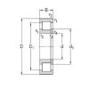 Original SKF Cylindrical Roller Bearings NUP203-E-TVP3 NKE #1 small image