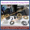 rexroth pump spare parts for concrete A4VG250 #1 small image