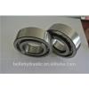 Shaft Bearing F-204754 for A11V250 hydraulic pump