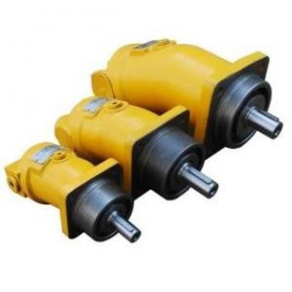 A2F12R4Z4  A2F Series Fixed Displacement Piston Pump #1 image