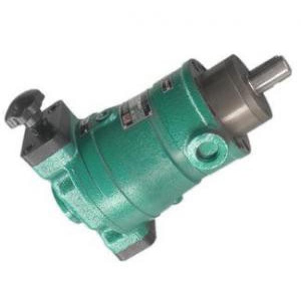 10SCY14-1B  axial plunger pump #1 image