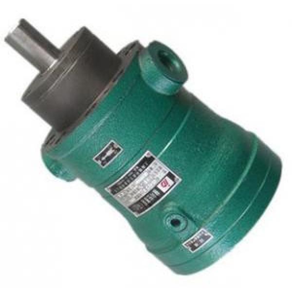 400MCY14-1B  fixed displacement piston pump #1 image