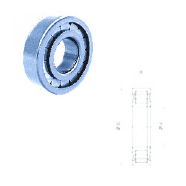 Original SKF Cylindrical Roller Bearings NUP209FM Fersa #1 image