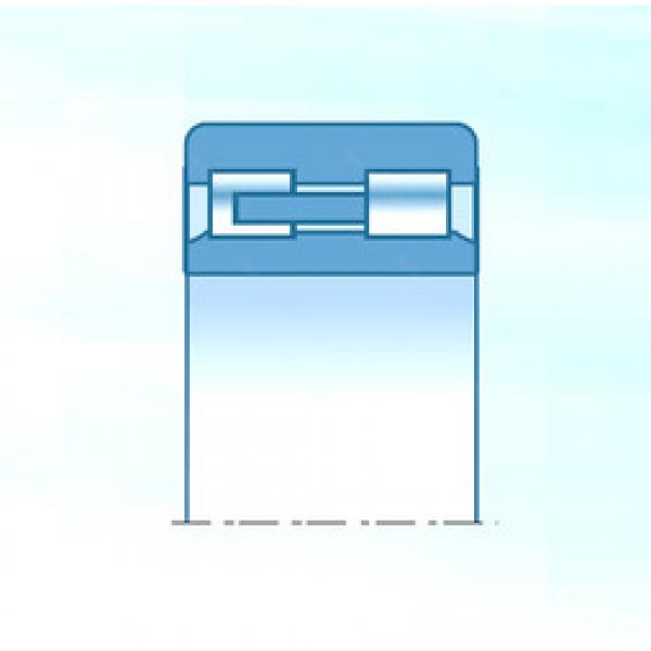 Original SKF Cylindrical Roller Bearings NNU4930KD1C0NAP5 NTN #1 image