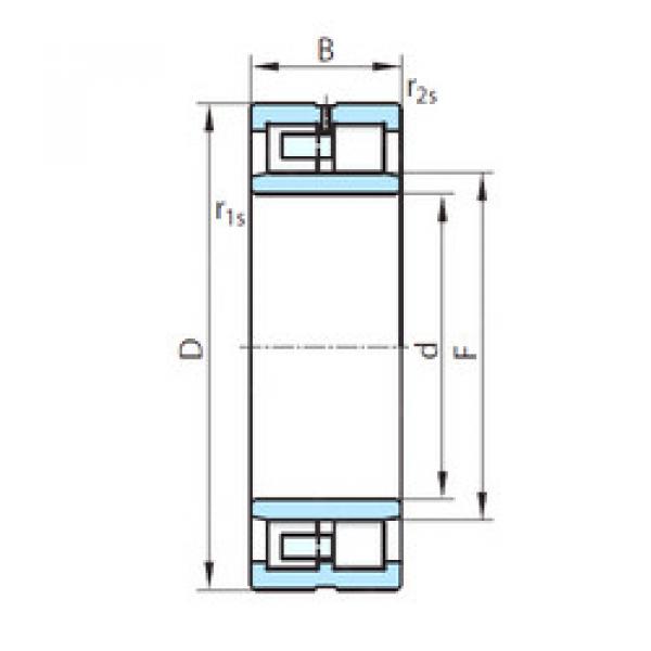 Original SKF Cylindrical Roller Bearings NNU49/630 PSL #1 image