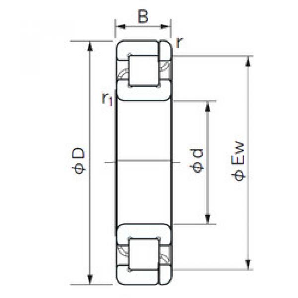 Original SKF Cylindrical Roller Bearings NP 10/500 NACHI #1 image