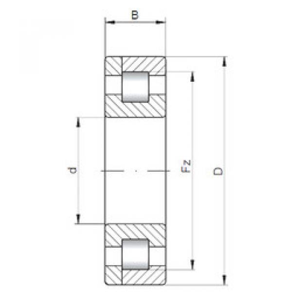 Original SKF Cylindrical Roller Bearings NP10/560 ISO #1 image