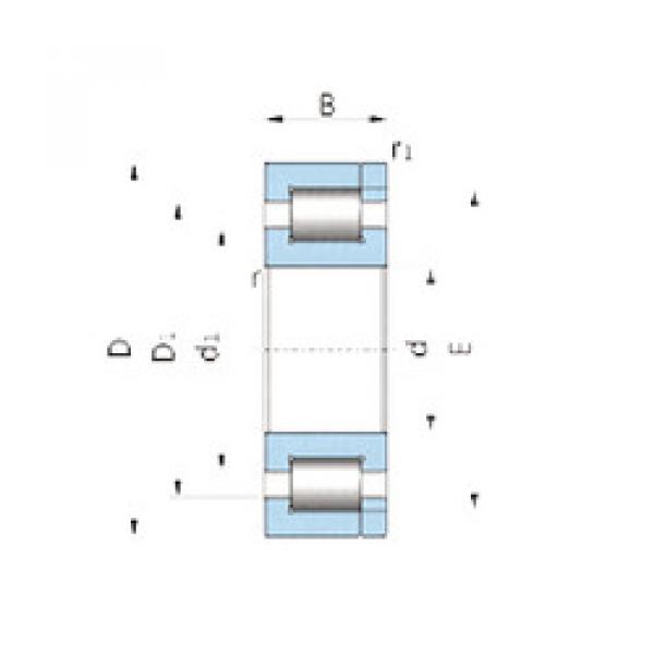 Original SKF Cylindrical Roller Bearings NP.40211.H100 SNR #1 image