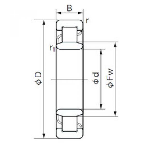 Original SKF Cylindrical Roller Bearings NU 1006 NACHI #1 image