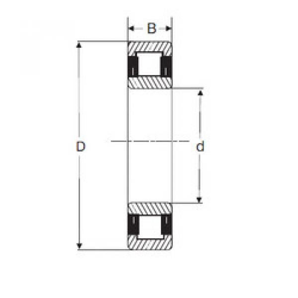 Original SKF Cylindrical Roller Bearings NU 205 SIGMA #1 image