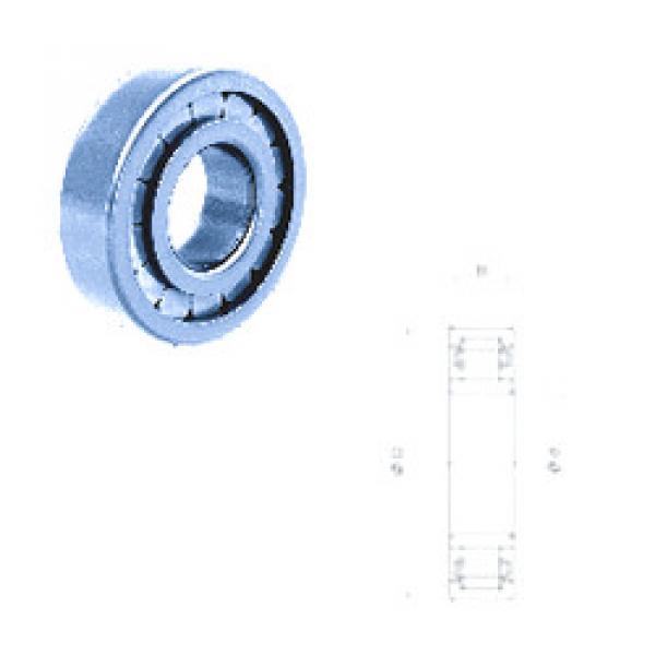 Original SKF Cylindrical Roller Bearings NU307F Fersa #1 image