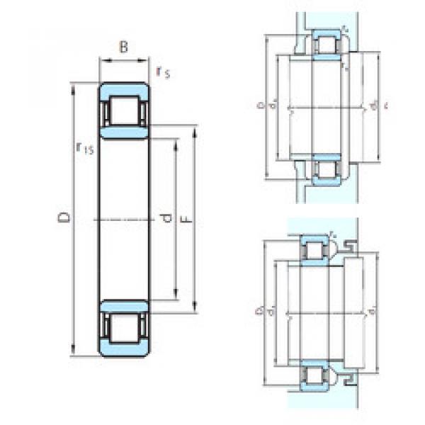 Original SKF Cylindrical Roller Bearings NU1044 PSL #1 image